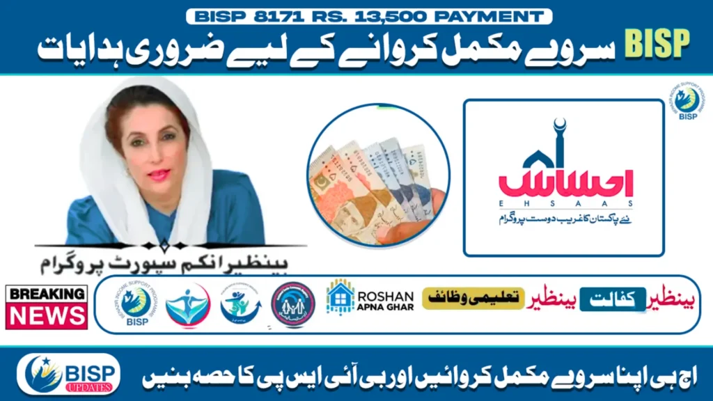 BISP Dynamic Survey 2025