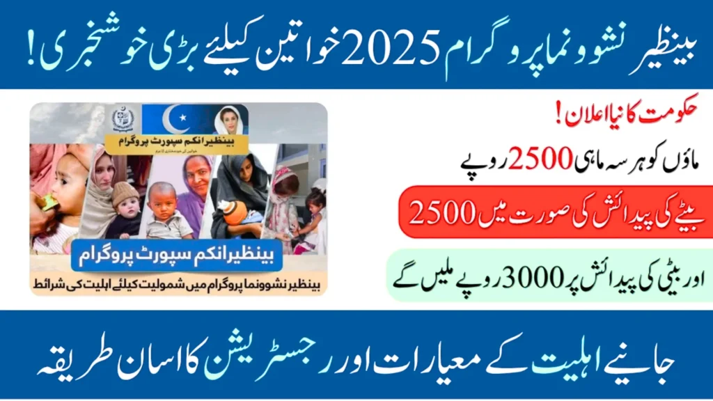 Benazir Nashonuma Program 2025