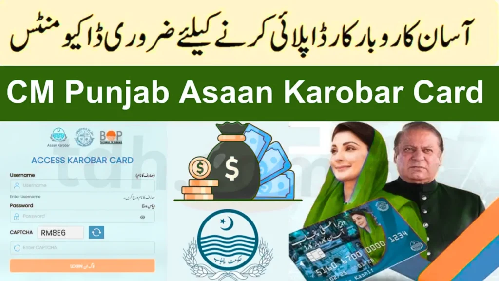 CM Punjab Asaan Karobar Card 2025