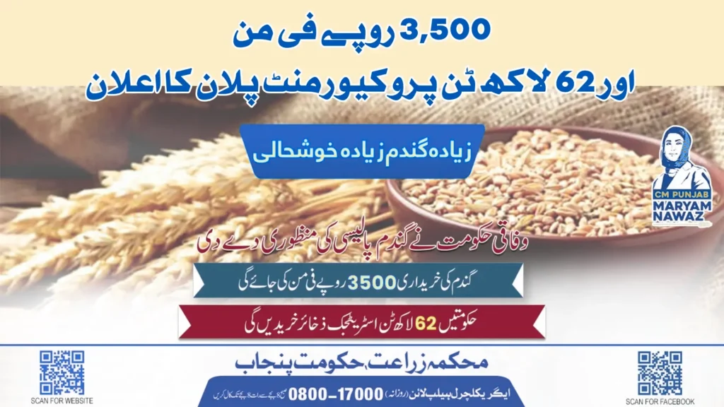 Punjab Wheat Policy 2025