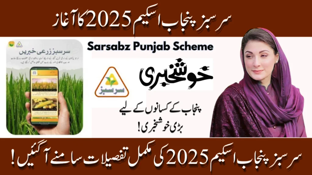 Sarsabz Punjab Scheme 2025